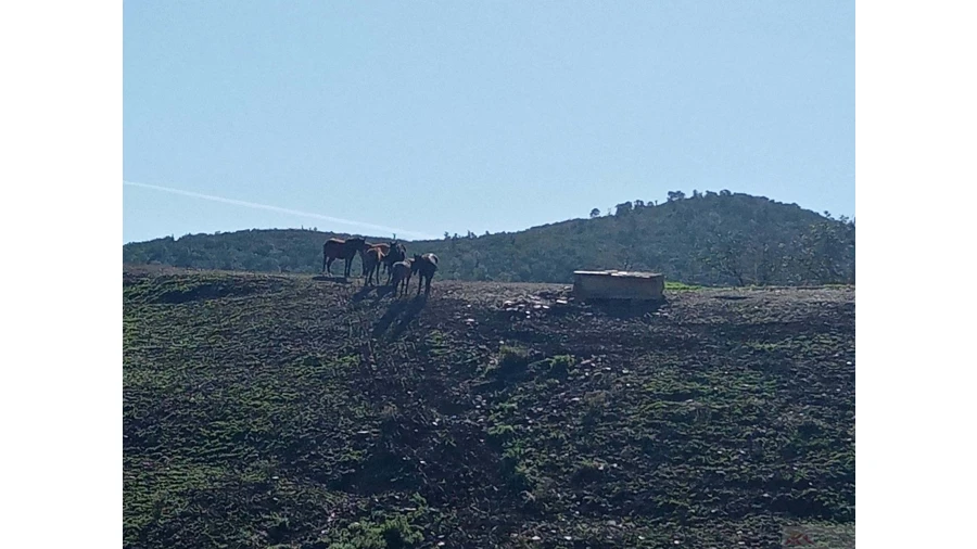 Quinta para Venda em São Marcos da Serra Foto 11