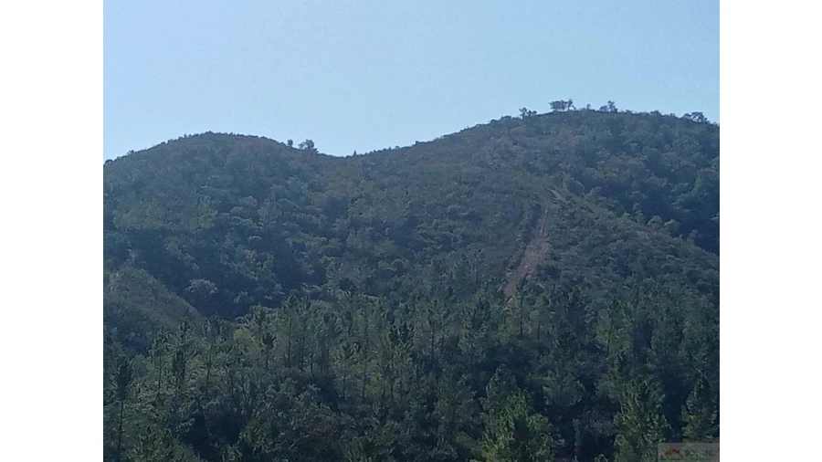 Quinta para Venda em São Marcos da Serra Foto 31