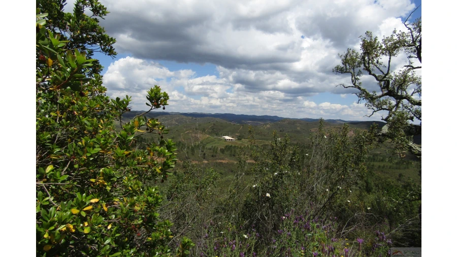 Quinta para Venda em São Marcos da Serra Foto 14
