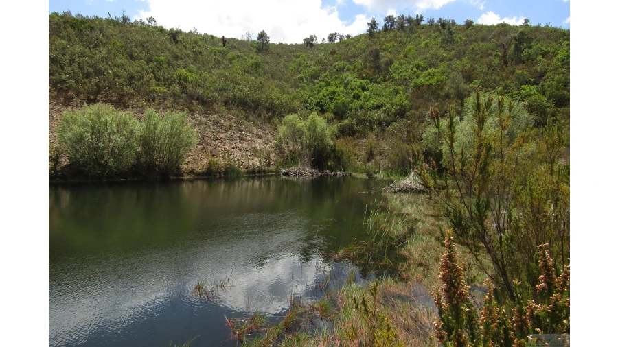 Quinta para Venda em São Marcos da Serra Foto 13