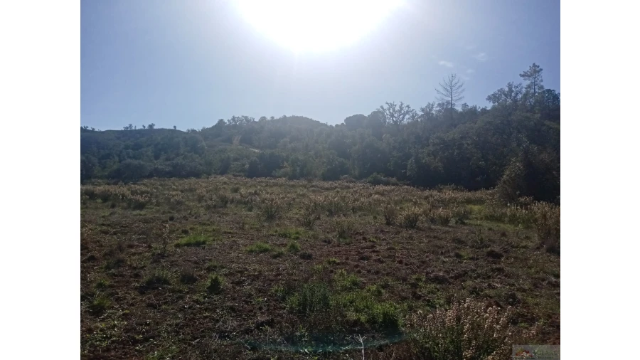 Quinta para Venda em São Marcos da Serra Foto 23