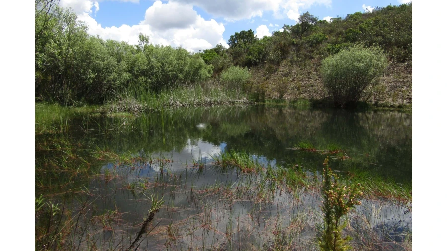 Quinta para Venda em São Marcos da Serra Foto 3
