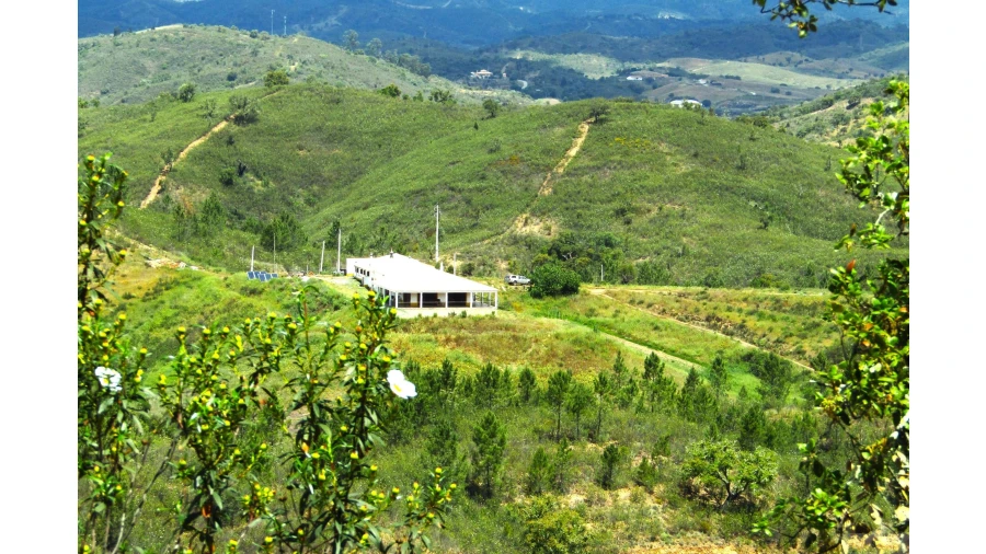 Quinta para Venda em São Marcos da Serra Foto 4