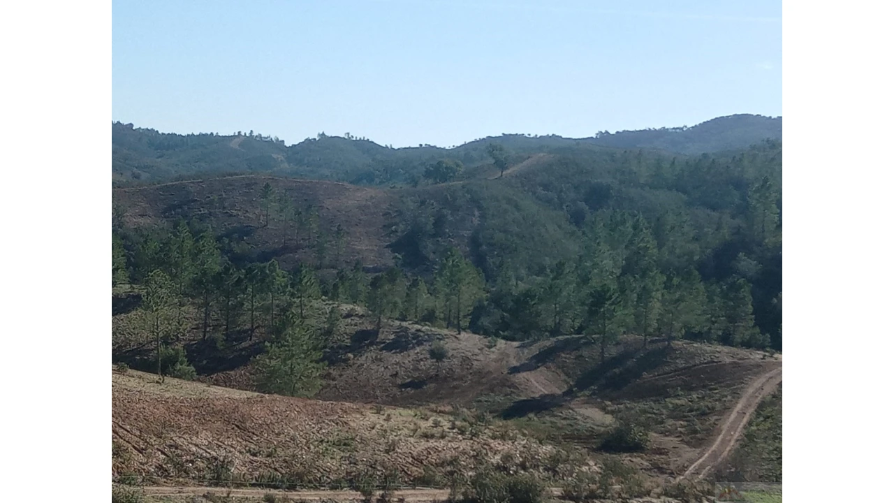 Quinta para Venda em São Marcos da Serra Foto 27