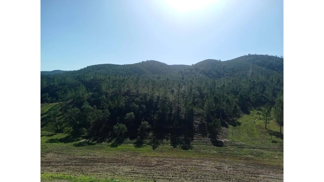Quinta para Venda em São Marcos da Serra Foto 25