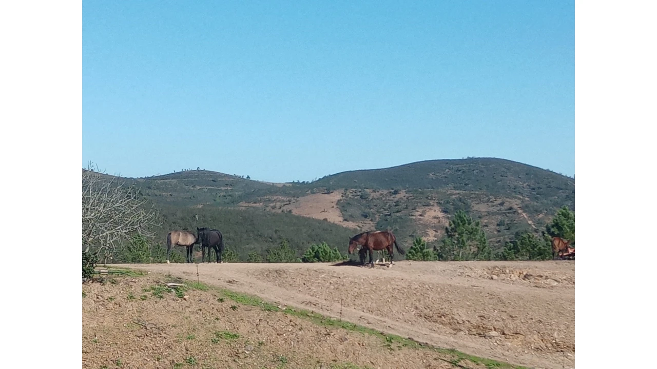 Quinta para Venda em São Marcos da Serra Foto 9
