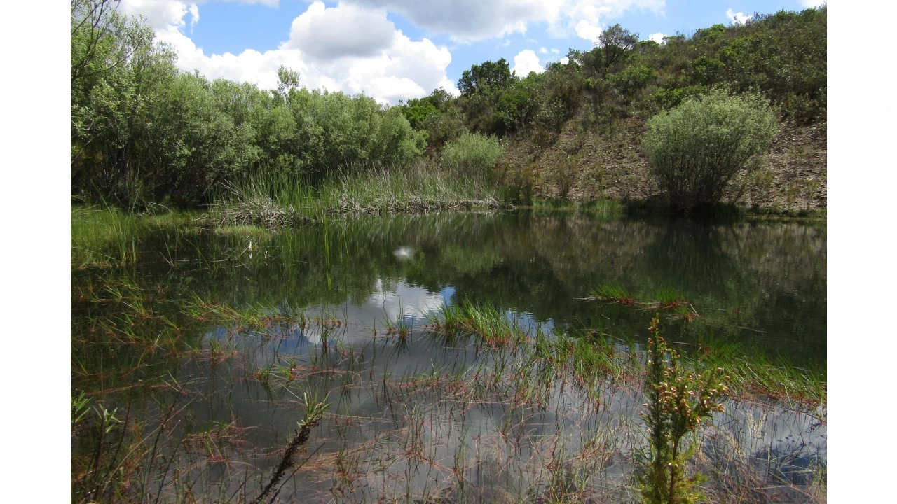 Quinta para Venda em São Marcos da Serra Foto 3