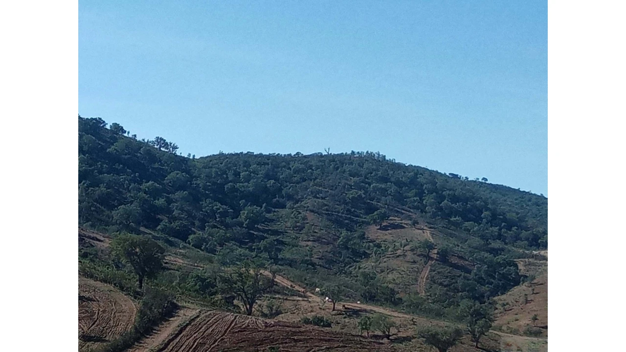 Quinta para Venda em São Marcos da Serra Foto 30