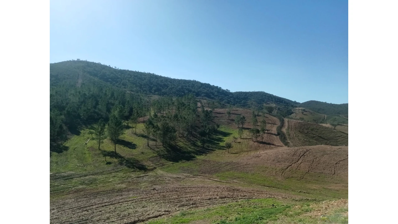 Quinta para Venda em São Marcos da Serra Foto 26