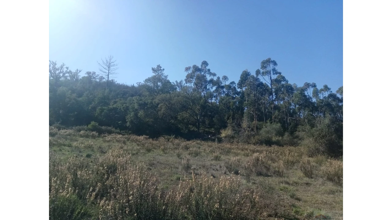 Quinta para Venda em São Marcos da Serra Foto 24