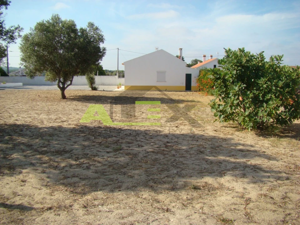 Quinta T3 para Venda em Melides Foto 4