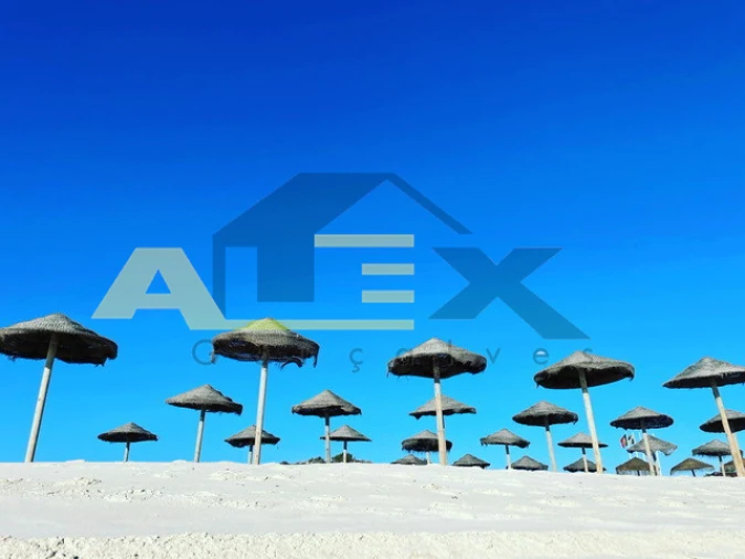 Quinta T3 para Venda em Melides Foto 12