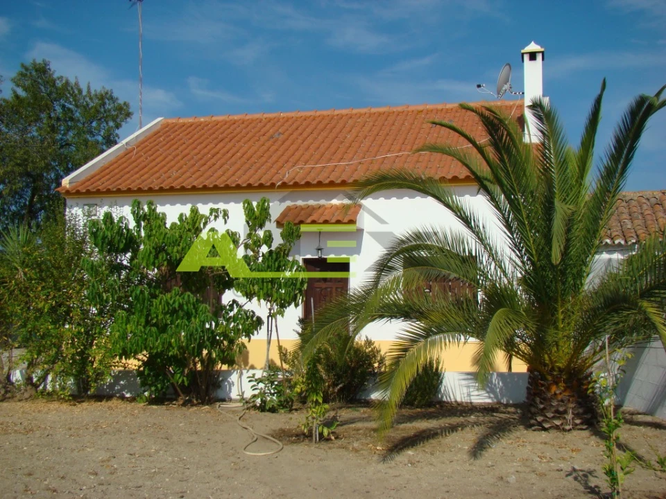 Quinta T3 para Venda em Melides Foto 2