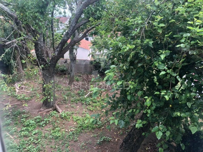 Moradia T3 para Venda em Angra (São Pedro) Foto 10