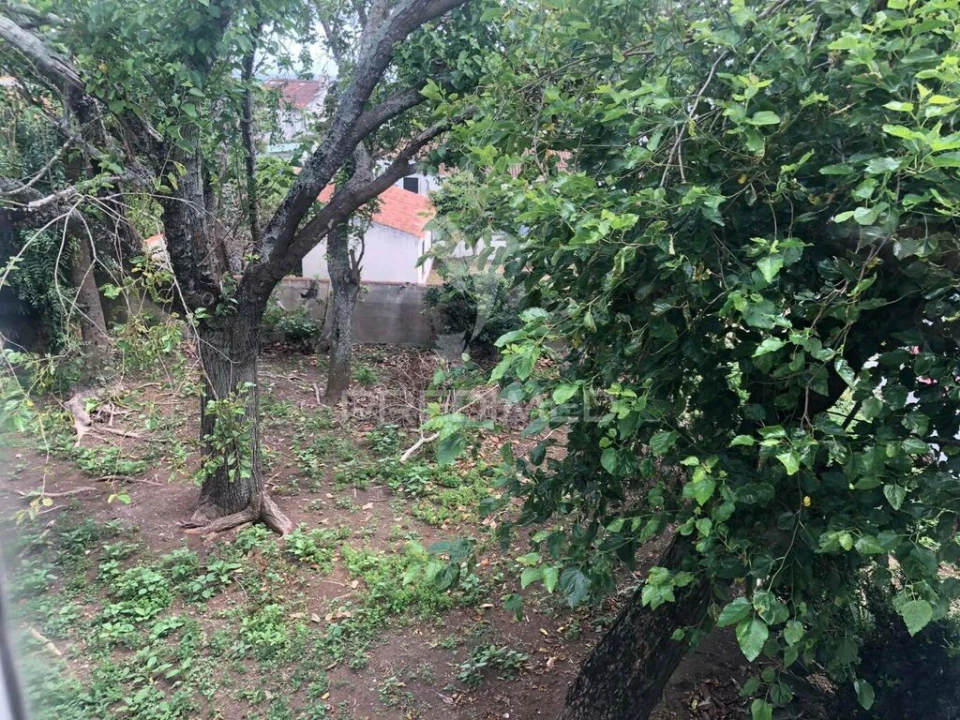 Moradia T3 para Venda em Angra (São Pedro) Foto 10