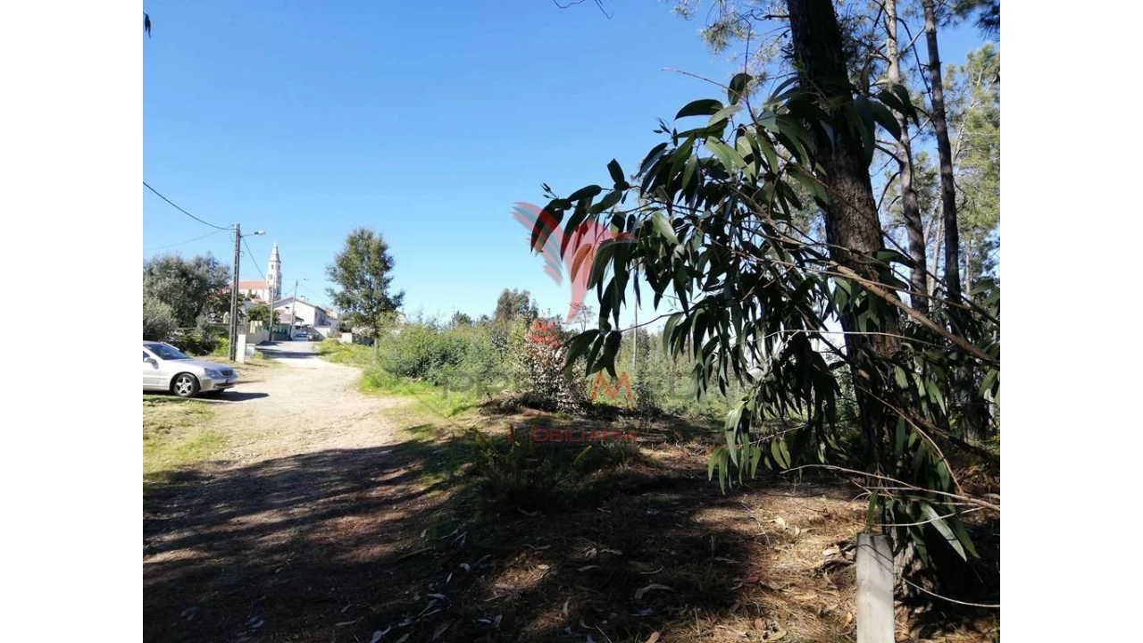 Terreno para Venda em Semide e Rio Vide Foto 3