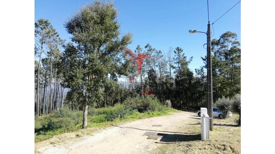 Terreno para Venda em Semide e Rio Vide Foto 1