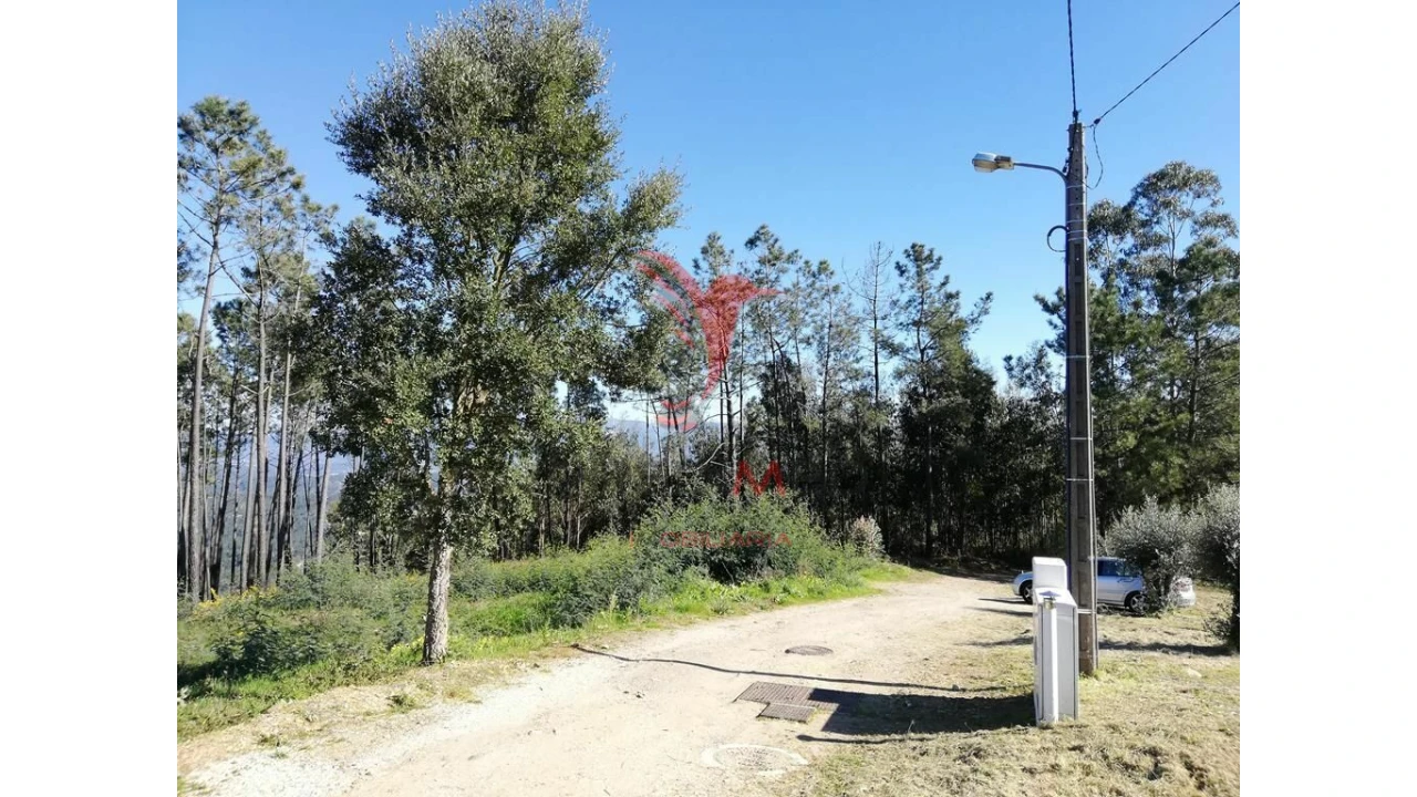 Terreno para Venda em Semide e Rio Vide Foto 1