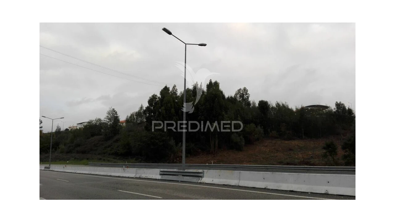 Terreno para Venda em Eiras e São Paulo de Frades Foto 3