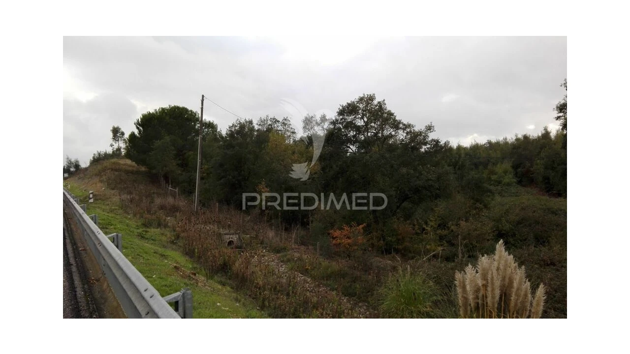 Terreno para Venda em Eiras e São Paulo de Frades Foto 2