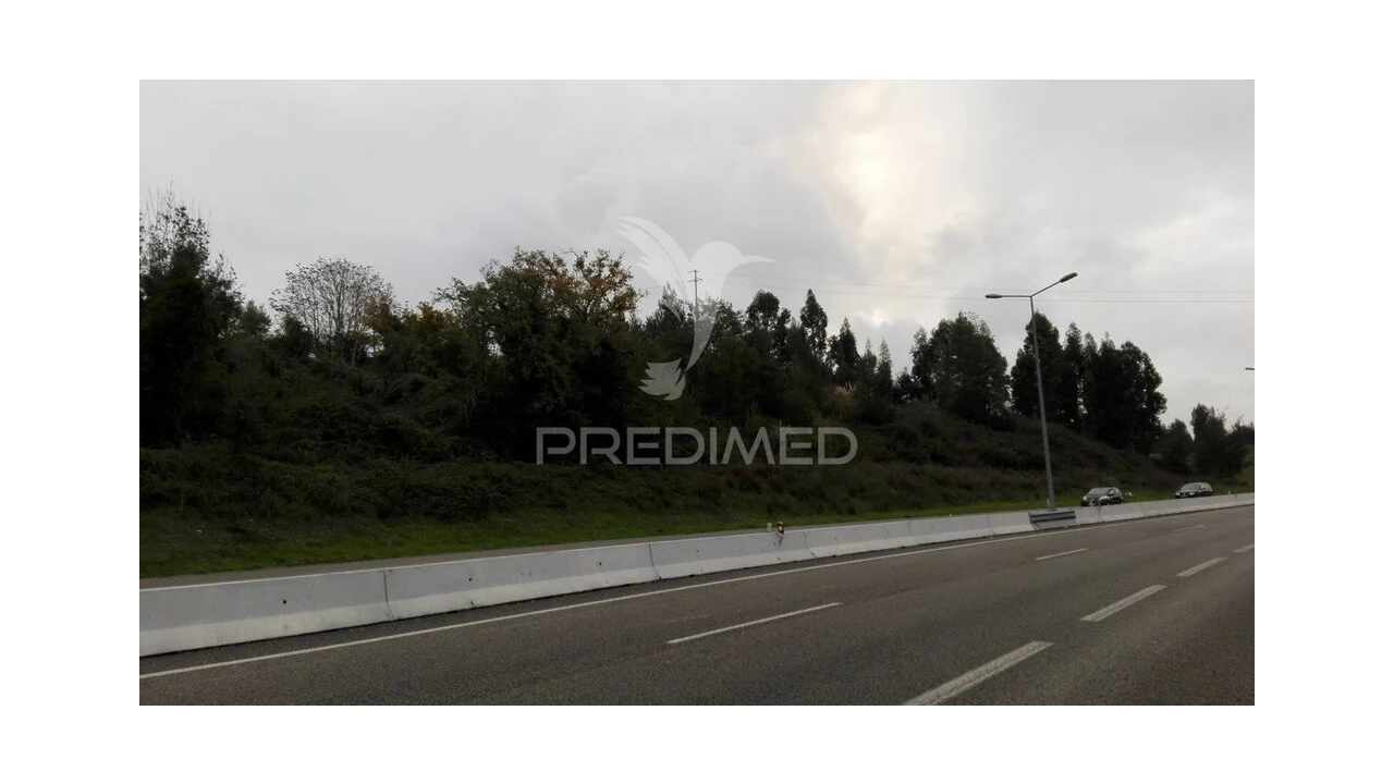 Terreno para Venda em Eiras e São Paulo de Frades Foto 4