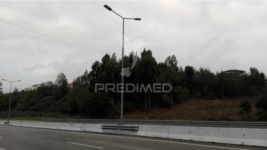 Terreno para Venda em Eiras e São Paulo de Frades Foto 3