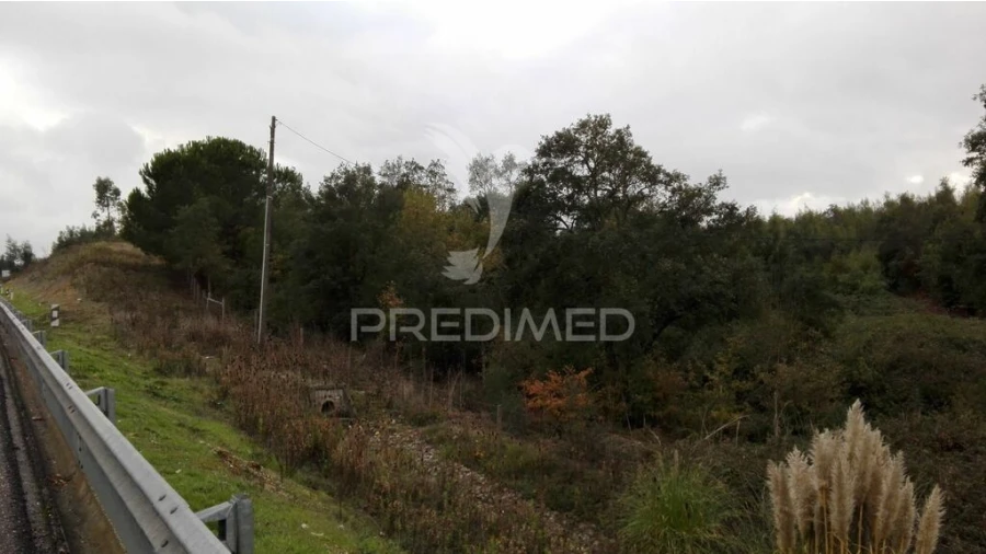 Terreno para Venda em Eiras e São Paulo de Frades Foto 2