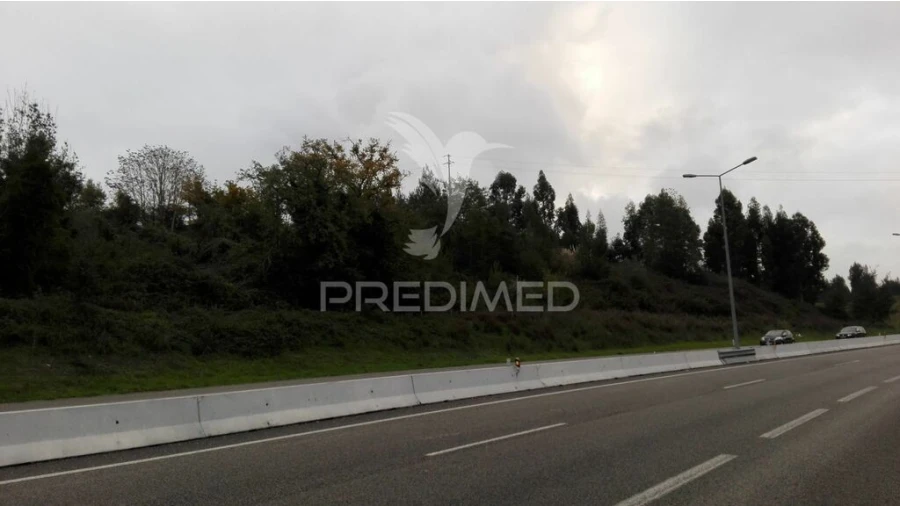 Terreno para Venda em Eiras e São Paulo de Frades Foto 4