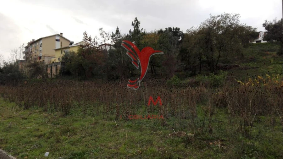 Terreno para Venda em Eiras e São Paulo de Frades