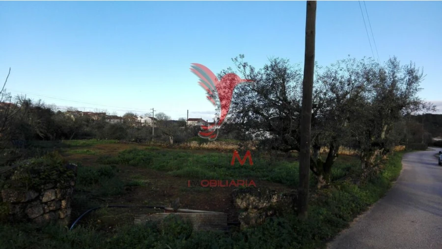 Terreno para Venda em Vila Seca e Bem da Fé Foto 2