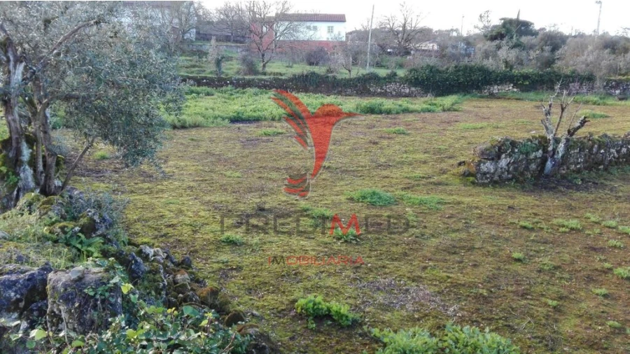 Terreno para Venda em Vila Seca e Bem da Fé Foto 1