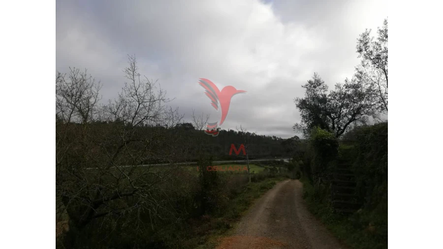 Terreno para Venda em Vila Seca e Bem da Fé Foto 4