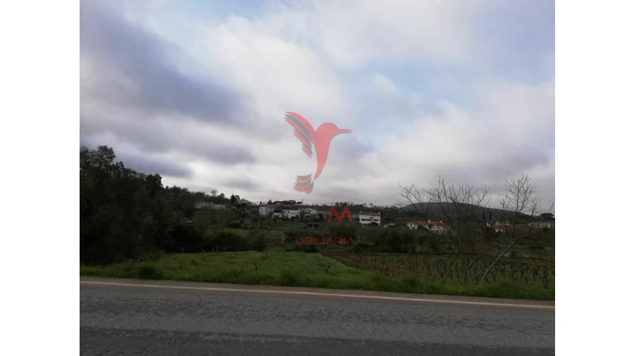 Terreno para Venda em Vila Seca e Bem da Fé Foto 6