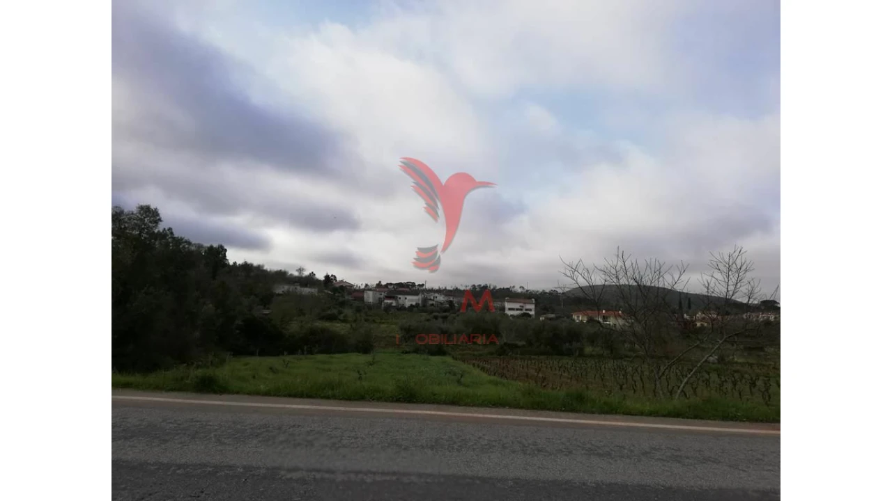 Terreno para Venda em Vila Seca e Bem da Fé Foto 6