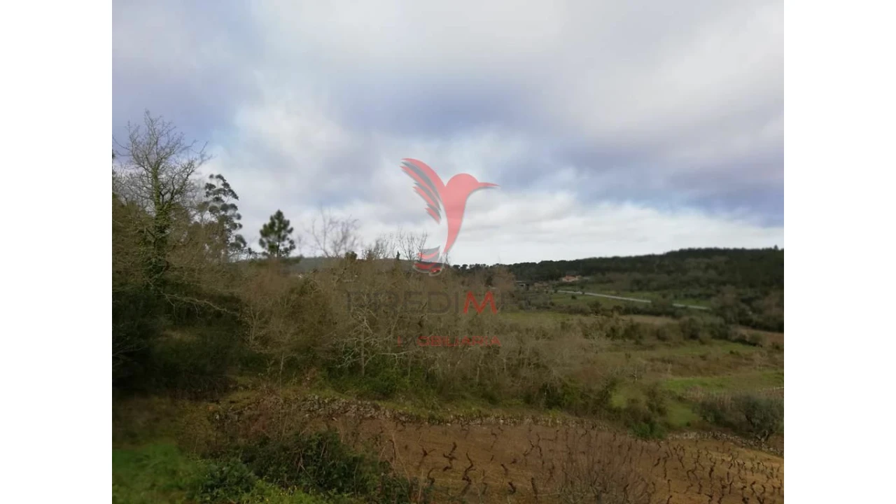 Terreno para Venda em Vila Seca e Bem da Fé Foto 2