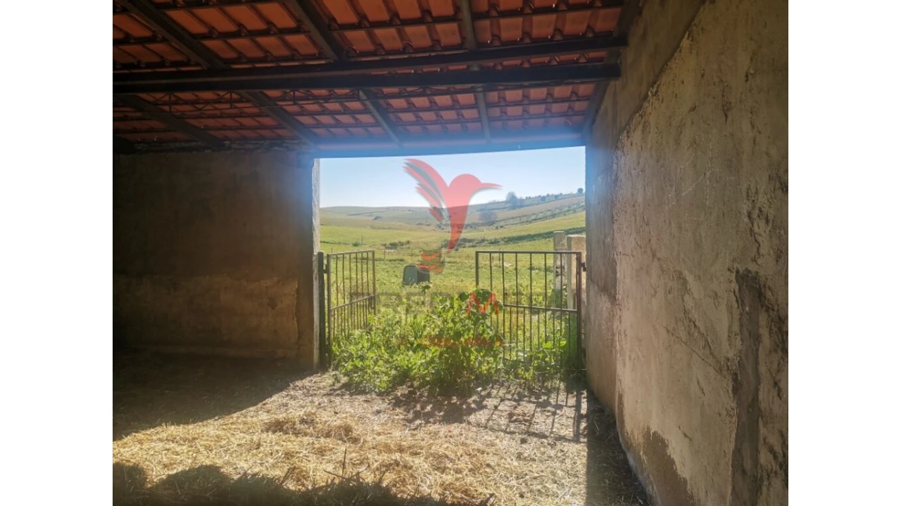 Quinta T3 para Venda em Santo Agostinho e São João Baptista e Santo Amador Foto 16