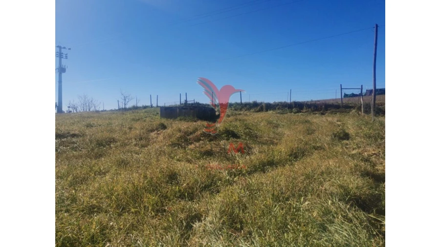 Quinta T3 para Venda em Santo Agostinho e São João Baptista e Santo Amador Foto 12