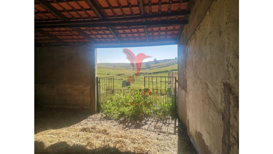 Quinta T3 para Venda em Santo Agostinho e São João Baptista e Santo Amador Foto 16