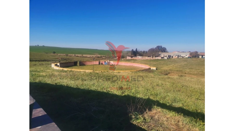 Quinta T3 para Venda em Santo Agostinho e São João Baptista e Santo Amador Foto 7