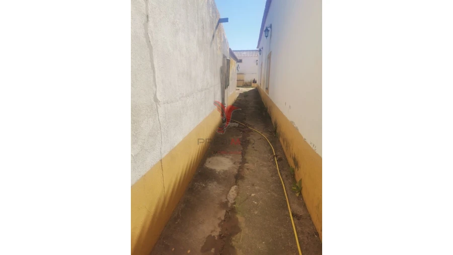 Quinta T3 para Venda em Santo Agostinho e São João Baptista e Santo Amador Foto 19