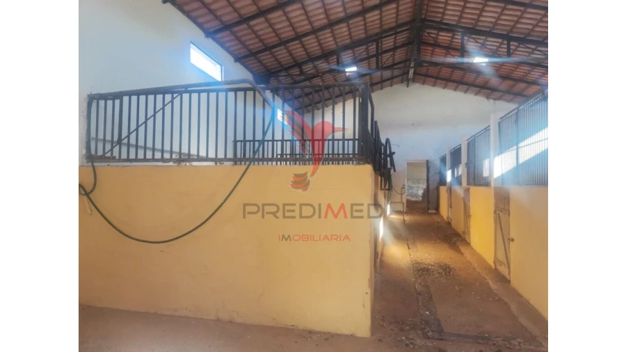 Quinta T3 para Venda em Santo Agostinho e São João Baptista e Santo Amador Foto 11