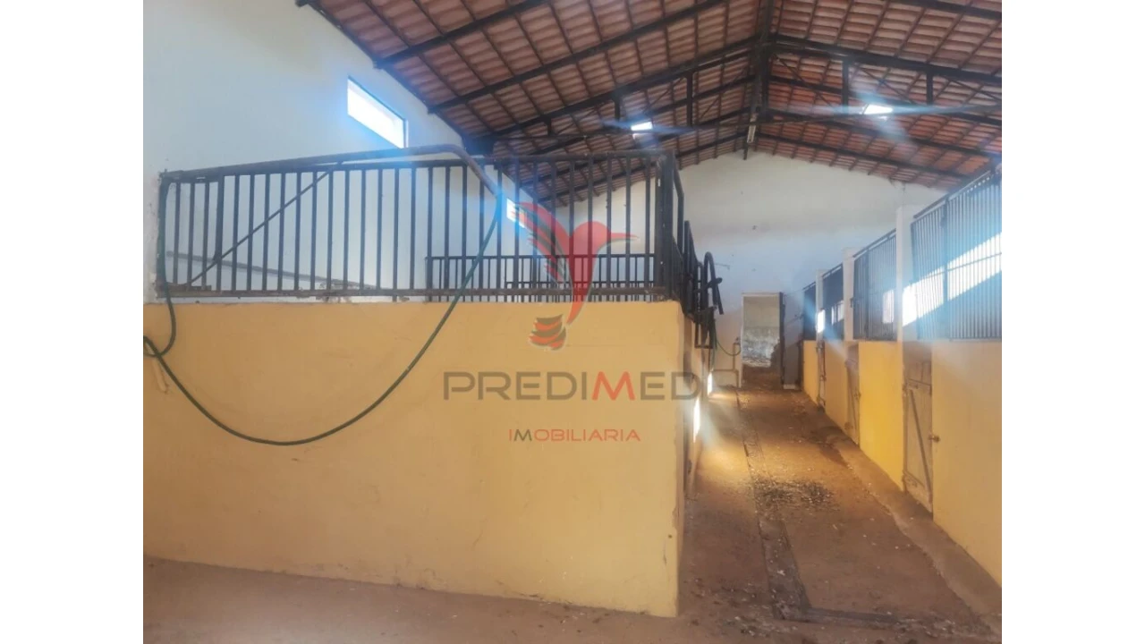 Quinta T3 para Venda em Santo Agostinho e São João Baptista e Santo Amador Foto 11