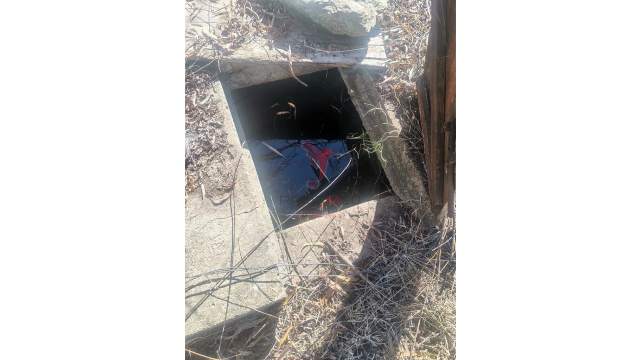 Quinta T3 para Venda em Santo Agostinho e São João Baptista e Santo Amador Foto 13