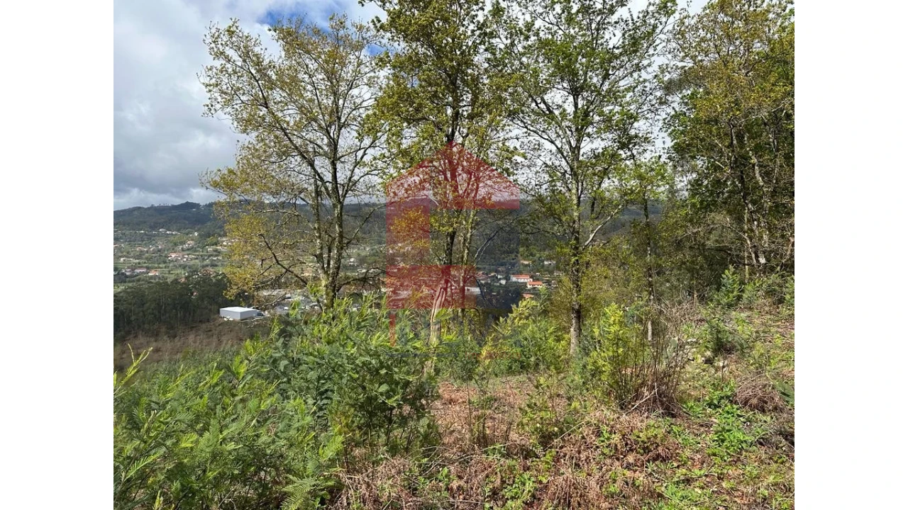 Moradia para Venda em Pico de Regalados, Gondiães e Mós Foto 16