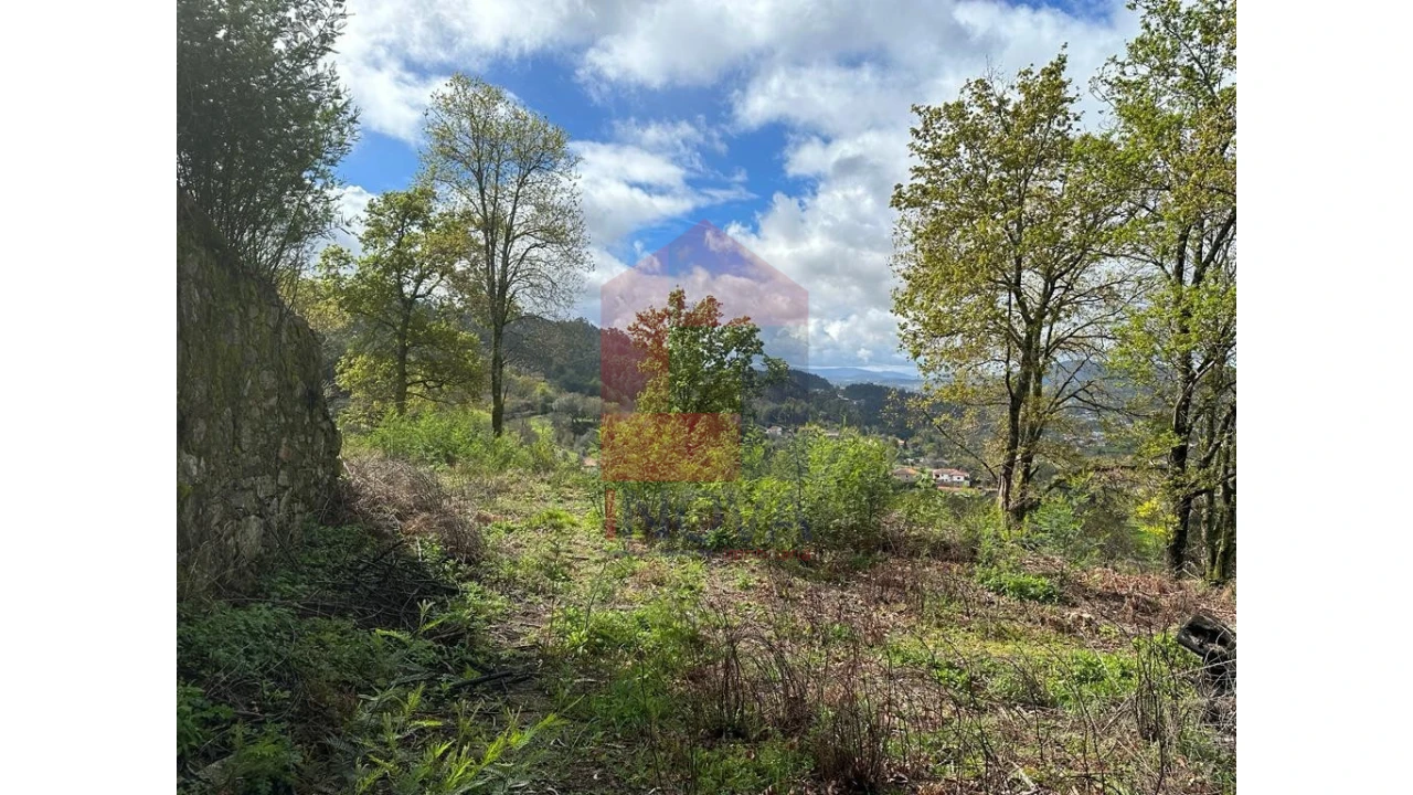 Moradia para Venda em Pico de Regalados, Gondiães e Mós Foto 13