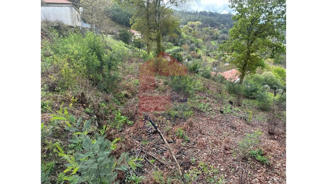 Moradia para Venda em Pico de Regalados, Gondiães e Mós Foto 18