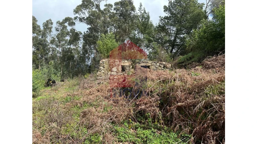 Moradia para Venda em Pico de Regalados, Gondiães e Mós Foto 20