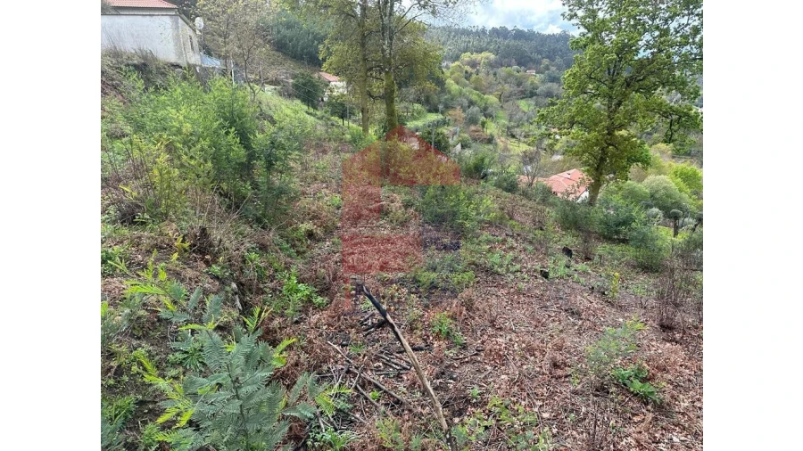 Moradia para Venda em Pico de Regalados, Gondiães e Mós Foto 18