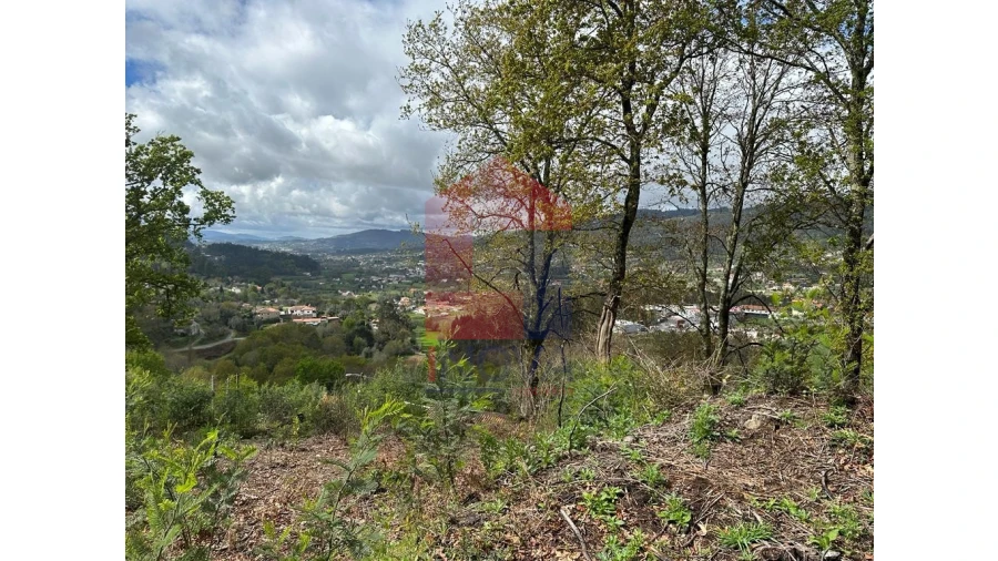 Moradia para Venda em Pico de Regalados, Gondiães e Mós Foto 14