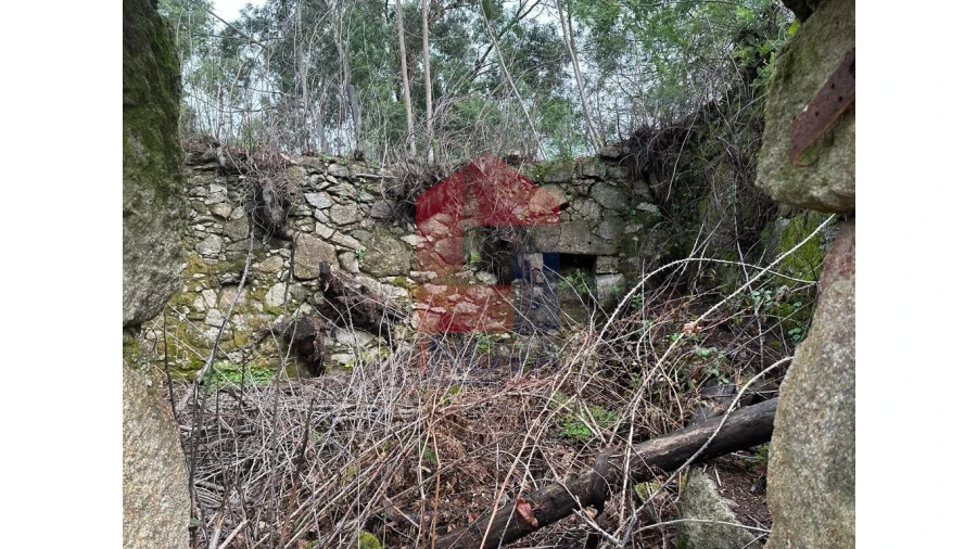 Moradia para Venda em Pico de Regalados, Gondiães e Mós Foto 8